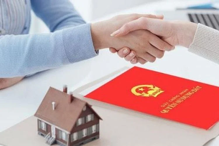 góp vốn bằng đất trái phép