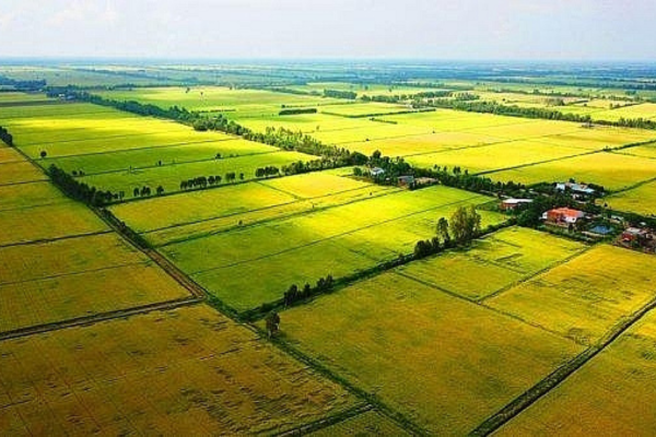 tách thửa đất thổ canh
