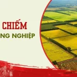 lan-chiem-dat-nong-nghiep-bi-phat-the-nao_0403151742