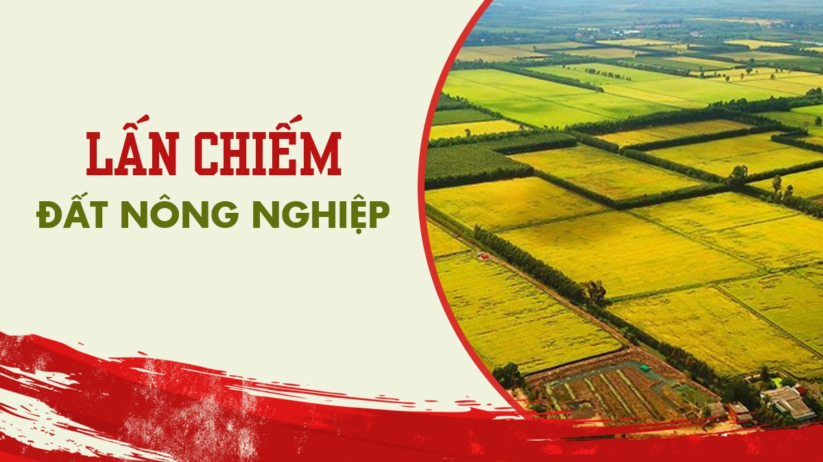 lấn chiếm đất nông nghiệp