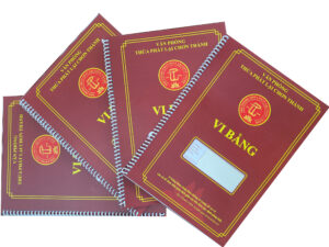 vi bằng đất đai
