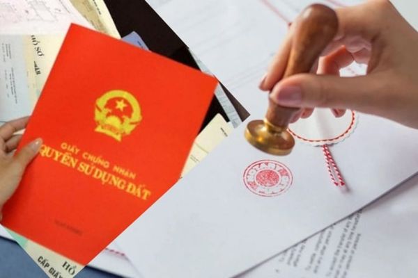 Mua bán đất rừng: Quy định pháp lý và hạn chế