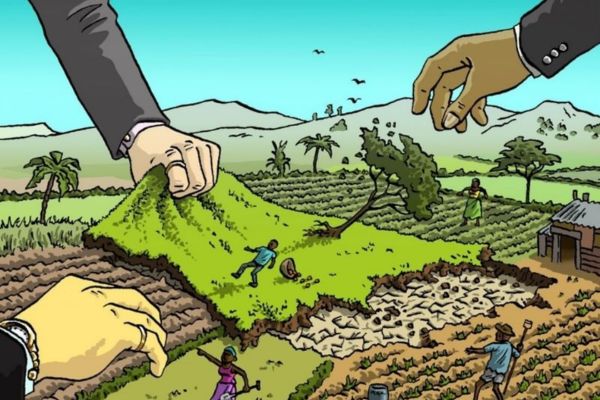 Mua bán đất rừng: Quy định pháp lý và hạn chế