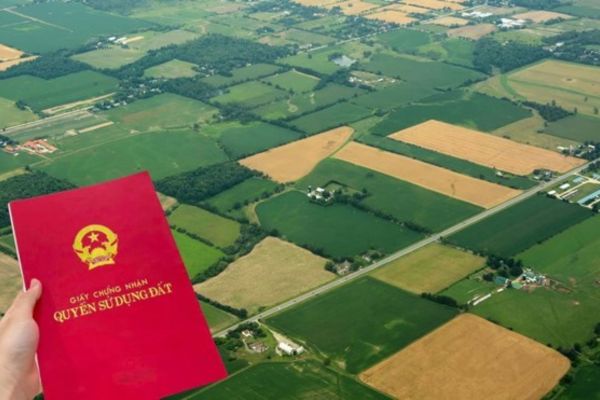 Quyền sử dụng đất nông nghiệp: Ai có thể sở hữu?