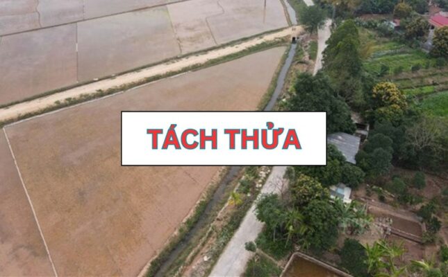 Quy định về tách thửa đất