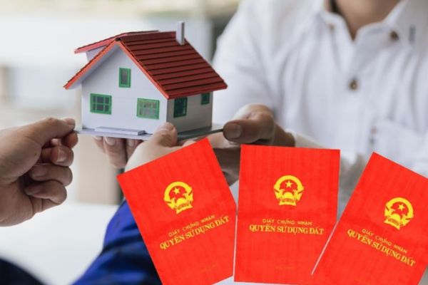 Tài sản trong trường hợp xác định quyền đối với đất đai