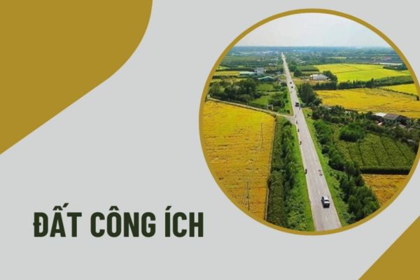 cho thuê đất công ích